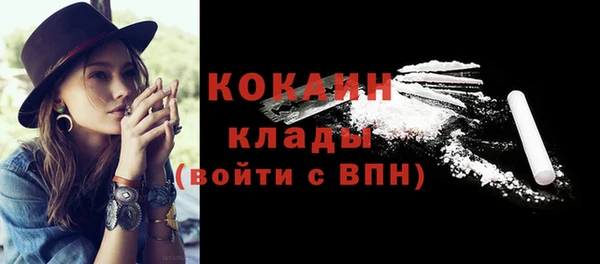 не бодяженный Алексин