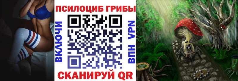 Псилоцибиновые грибы Psilocybe  Оханск 